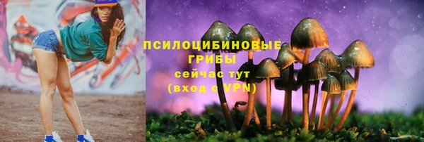 мяу мяу мука Бугульма