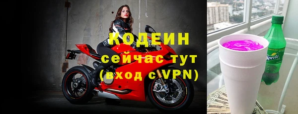 2c-b Бородино