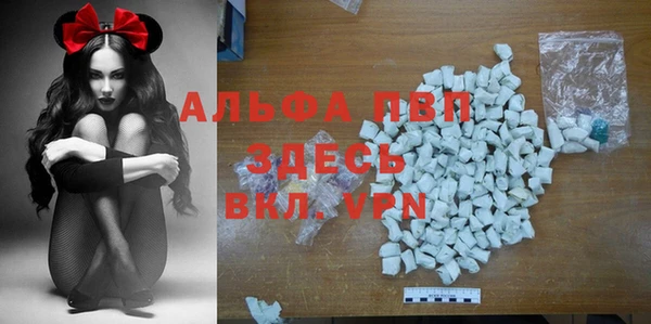 гидра Богородицк