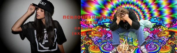 мяу мяу мука Бугульма