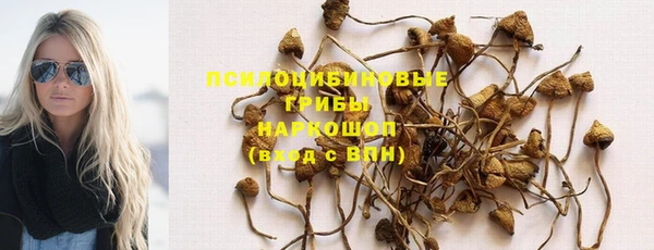 винт Бронницы