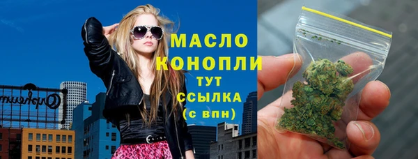 2c-b Бородино
