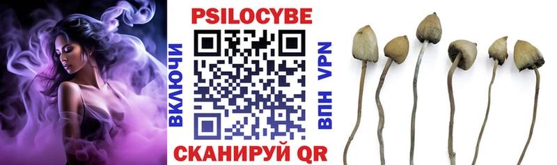 сайты даркнета формула  Стерлитамак  Псилоцибиновые грибы мицелий 